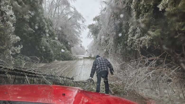 A person in a large flannel, with their back to the camera about 20 feet away, lifts an icy tree off a dirt road during an ice storm. The hood of a red car is visible in the foreground. It is a white, stormy day, multiple trees are down