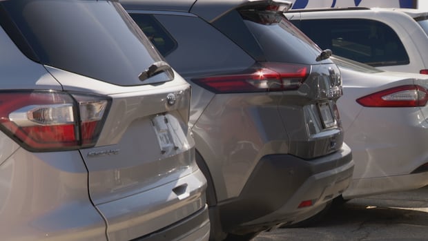 Auto part retailers in N.L. have been preparing for Trump's tariffs, but worry about lasting impacts