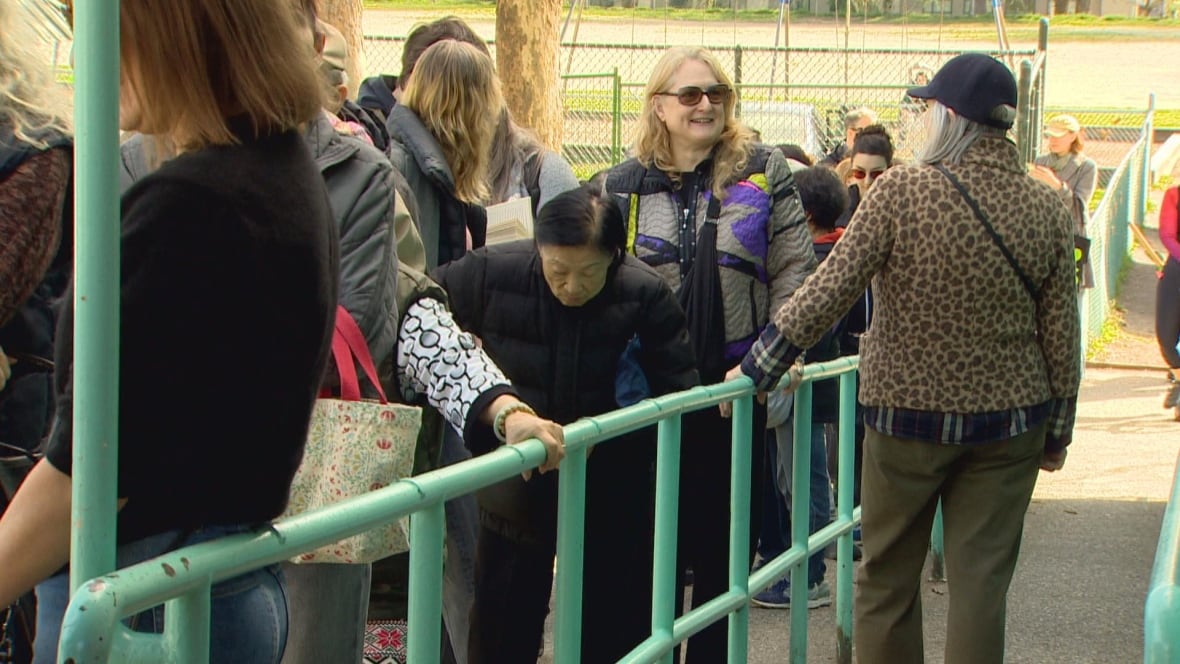People are seen lined up   to vote.