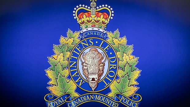 2 killed in small plane crash near Chilliwack Lake, B.C., say RCMP