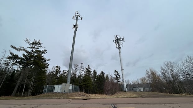 Police say 25-year-old man has died after fall from Riverview cell tower
