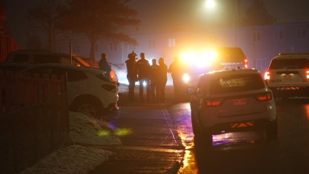 RNC respond to another possible weapons offence in St. John's