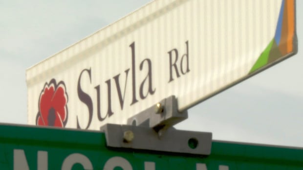 Grand Falls-Windsor mayor pleading for more police in wake of targeted shooting