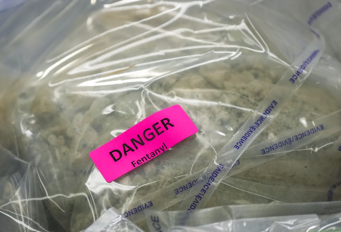 Fentanyl that was seized last week is displayed before a news conference at RCMP headquarters, in Surrey, B.C., on Thursday, October 31, 2024. The RCMP says they have dismantled "the largest and most sophisticated fentanyl and methamphetamine drug superlab in Canada," after an operation was conducted in Falkland, B.C., and Surrey beginning last Friday. 