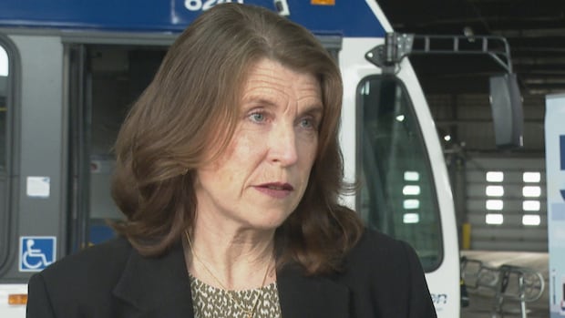 Fredericton Transit will run every 30 minutes on most routes