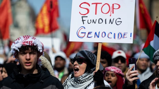 Anti-Palestinian racism report calls for more oversight of education, policing and politics | CBC News