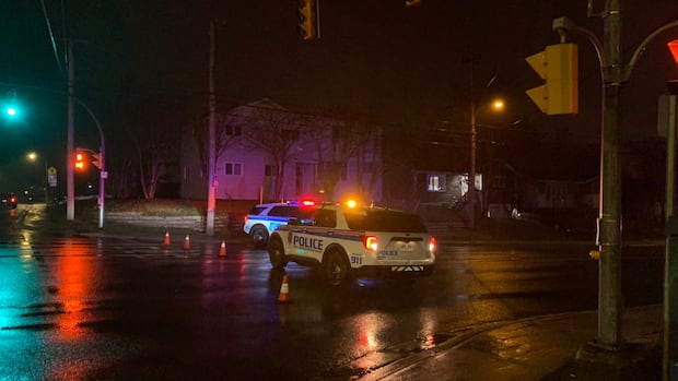 BB gun found, no charges laid in reported weekend weapons offence on Thorburn Road