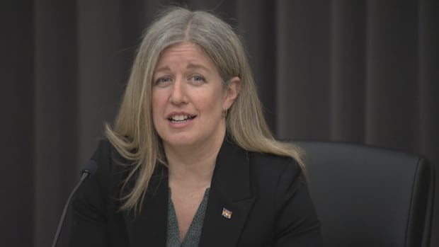 Holt Liberals set one-year timeline for N.B. Power review