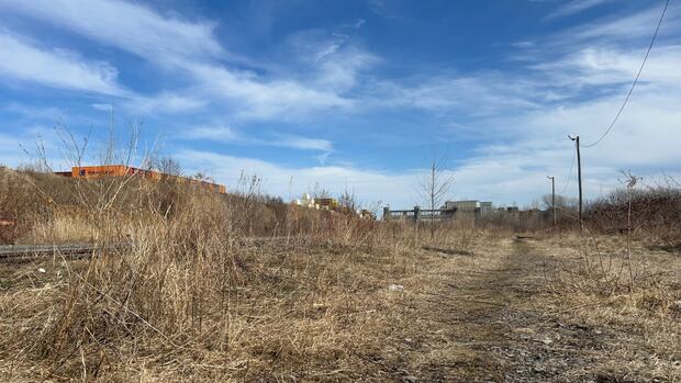 Montreal announces $88M for greenbelt around contentious container yard in east end
