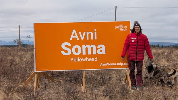 Political frustration likely the reason for vandalized signs, says Alberta candidate