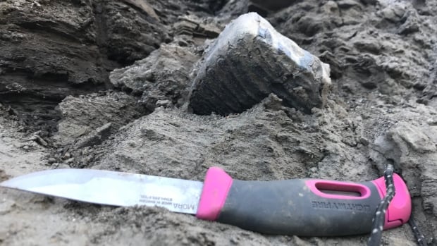 A tooth in the dirt with a knife in front for scale. 