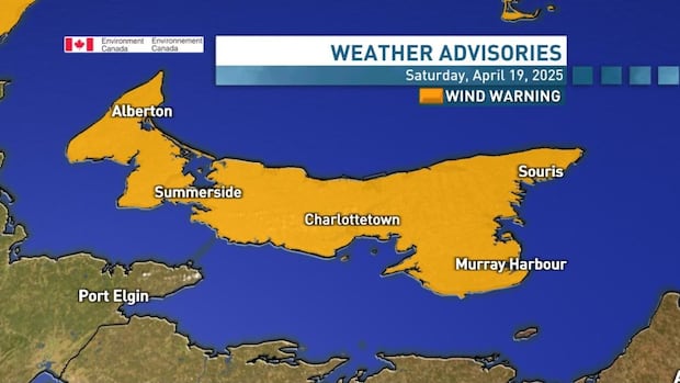High winds in the forecast for all of P.E.I. on Sunday