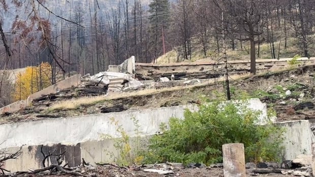 Nearly 2 years after B.C. wildfire, Lake Okanagan Resort condo owners still can't rebuild