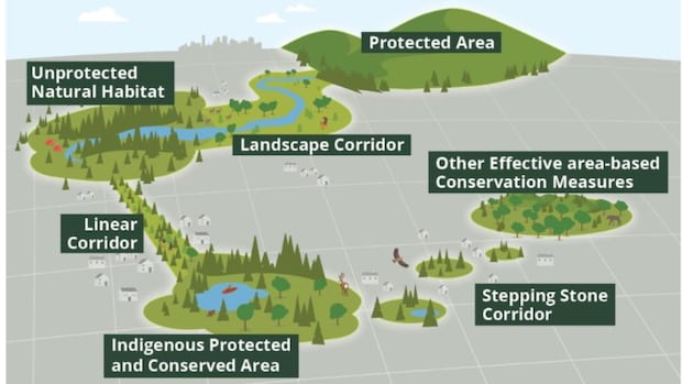 Canadian Geographic launches educational project about ecological corridors