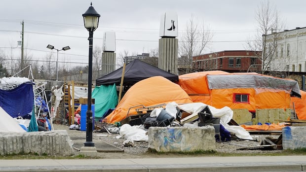 Bylaw to clear Kitchener encampment passed by Region of Waterloo council