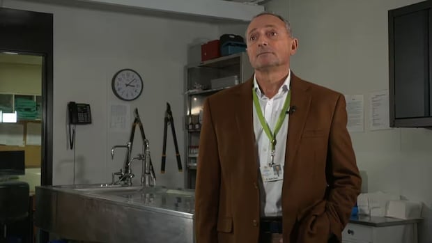 Could at-home test strips prevent drug deaths? Experts say yes, but it's complicated