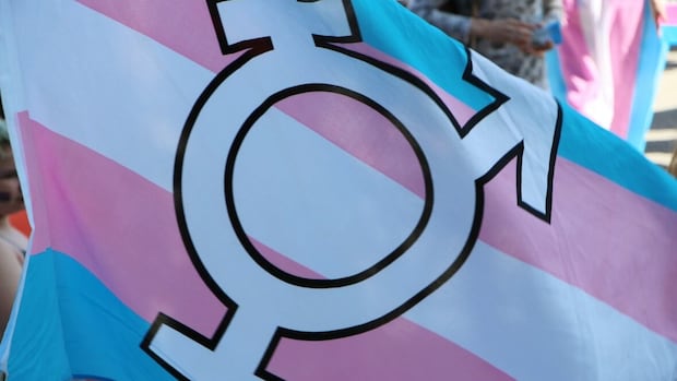Praise, criticism aimed at Manitoba plan to add gender expression to human rights code