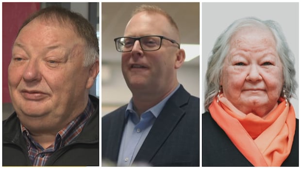 A former councillor, a political organizer and the old MP's assistant are running for the Avalon riding
