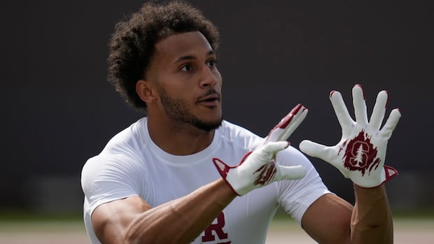 Tennessee Titans draft Canadian receiver Elic Ayomanor