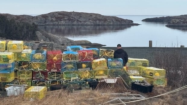 Just waiting for that green light in this week's audience photo gallery