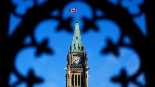 A flag flies atop the Peace Tower on Parliament hill, as seen through an ornate metal grate