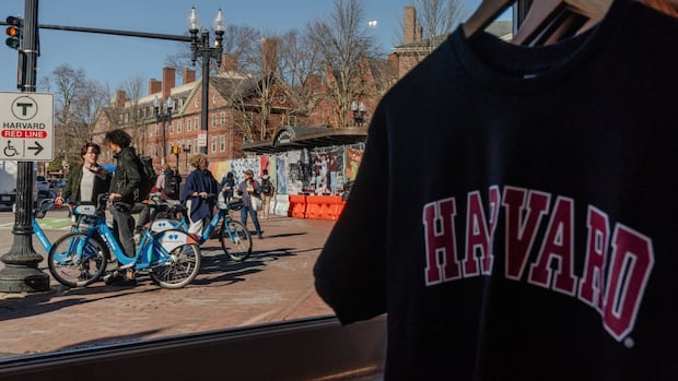 Trump administration probes Harvard University and its Law Review Trump administration probes Harvard University and its Law Review