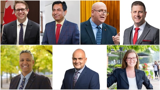 'Bogeyman' Donald Trump influenced voters in Hamilton and Niagara, say winning candidates