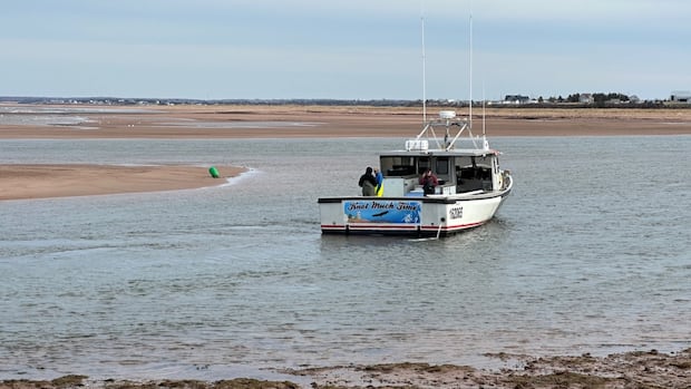 Lobster boats stranded outside harbour on P.E.I.'s North Shore: 'It's not a good scenario'