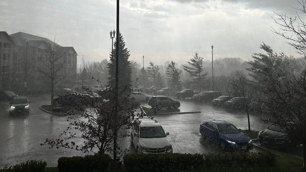 Toronto under severe thunderstorm warning | CBC News