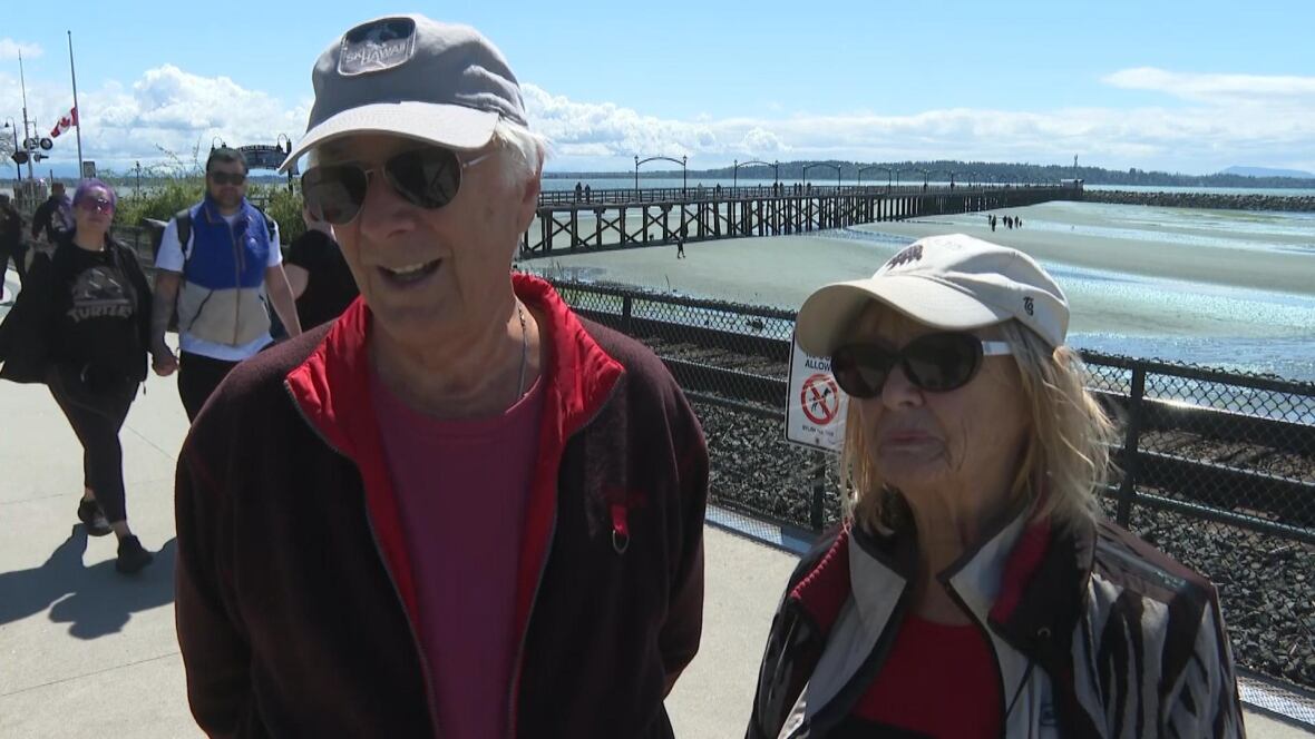 An older achromatic  antheral   and pistillate   talk  connected  a pier.