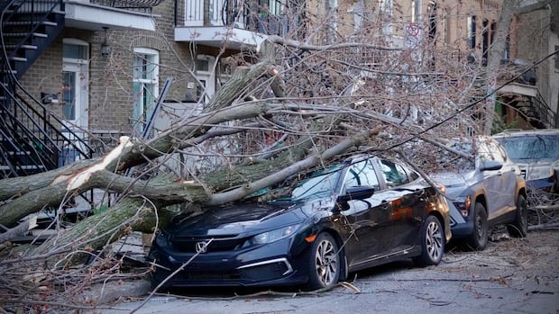 Teen injured, thousands without power after strong storms rip through Quebec