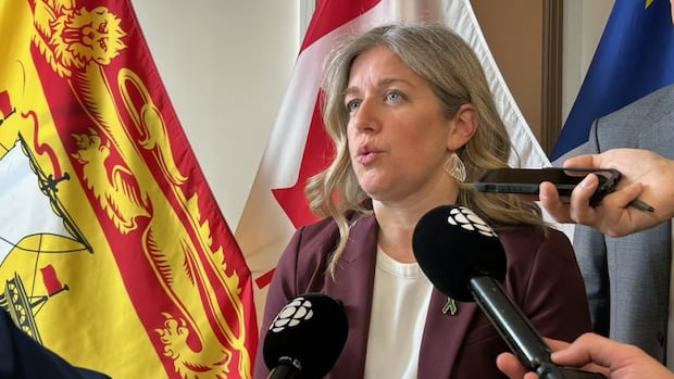 Province increases funding for fertility treatments for NB families