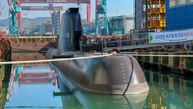 Two South Korean companies - Hanwha Ocean and Hyundai Heavy Industries - have pitched the Canadian government on a detailed plan to re-equip the navy with the latest version of their submarines, the KSS-III. Pictured here is a KSS-II, an older South Korean boat, built in 2017. Two South Korean companies - Hanwha Ocean and Hyundai Heavy Industries - have pitched the Canadian government on a detailed plan to re-equip the navy' with the latest version of their submarines. Pictured here is a KSS-II, an older boat, built in 2017.