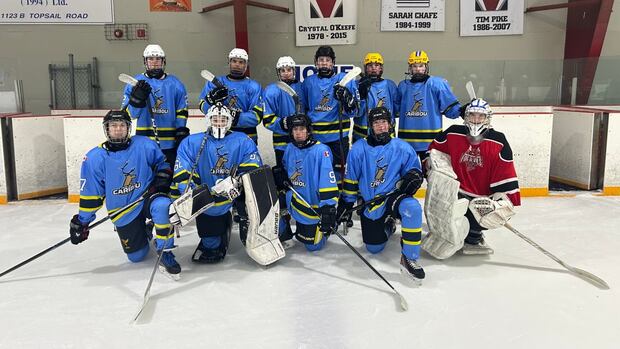 N.L. hockey team travelling to Beaumont Hamel to connect with fallen soldiers