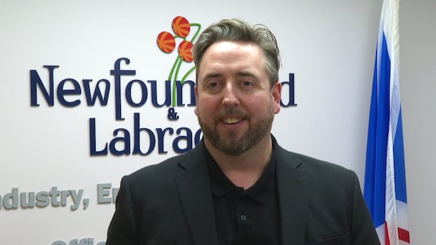 Burgeo-La Poile MHA Andrew Parsons announces resignation, exit from politics