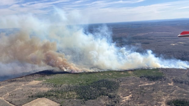 Uptick in active wildfires is caused by 'spring dip,' say B.C. fire officers