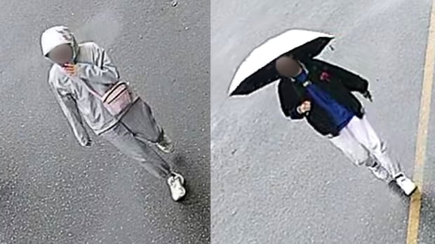 Richmond RCMP seeking witnesses in alleged attempted kidnapping, vehicle fire