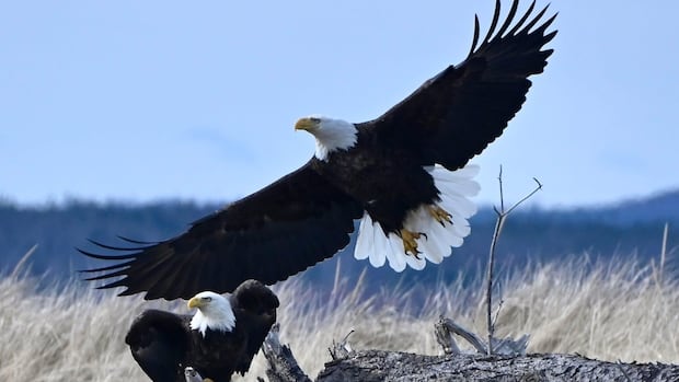 Slipping the surly bonds of Earth in this week's audience gallery