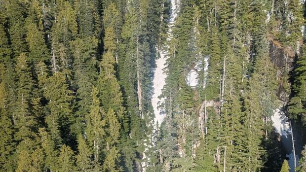 16-year-old hiker dies after fall in Lions Bay area