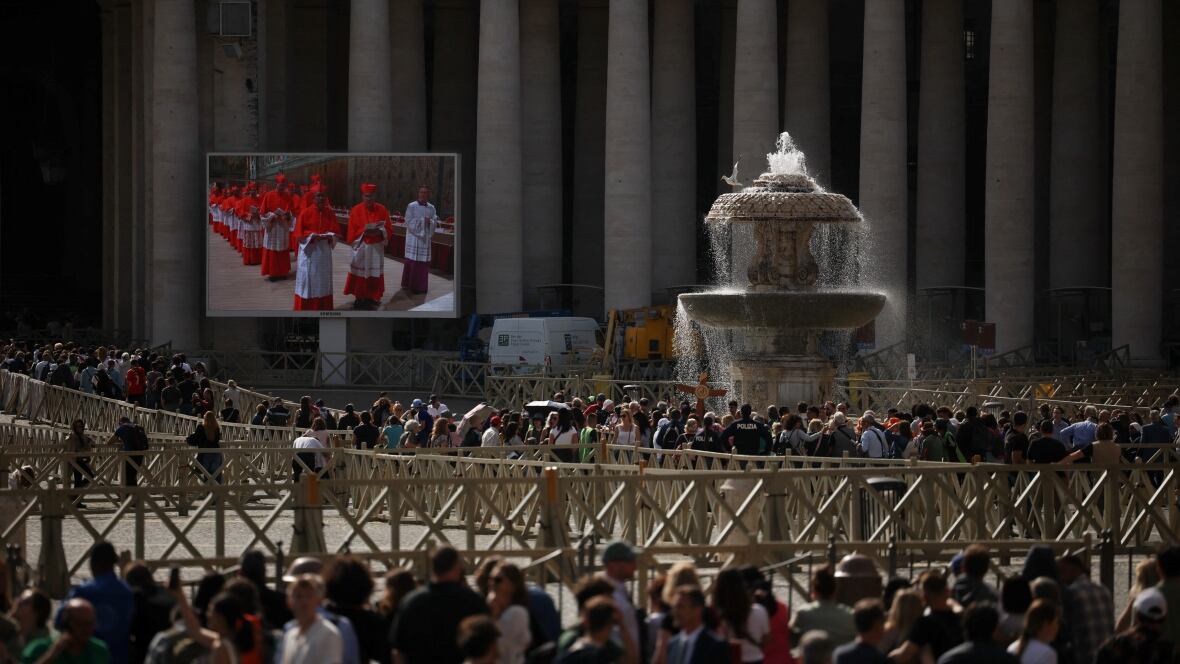 A assemblage  watches a surface  with cardinals walking.