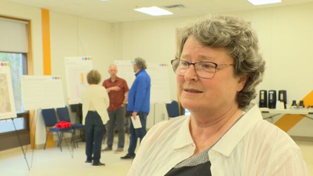 Proposed higher-density housing next to Fredericton universities gets mixed reaction