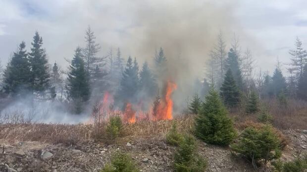 Fire crews responding to wildfire near Badger Lake