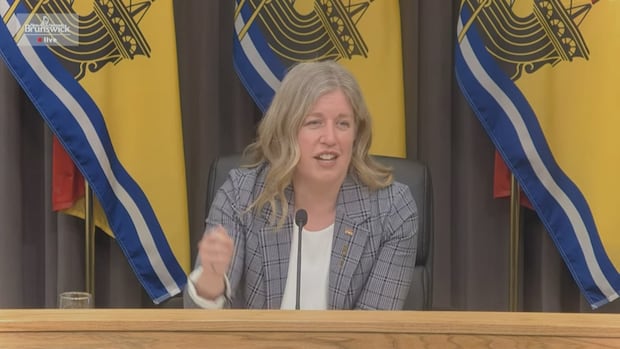 Holt presses N.B.'s economic priorities in premiers' call with prime minister