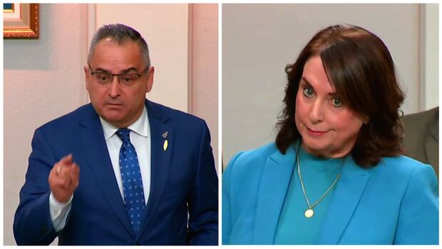 PCs accuse Liberals of 'cooking the books,' call for finance minister to be fired