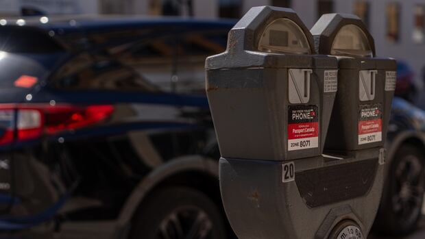 Thunder Bay City Council to debate free parking proposal next month