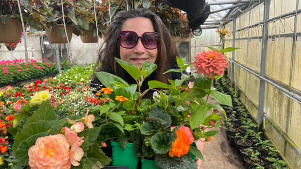'It's perfect this year': Green thumbs and greenhouses ready for busy weekend