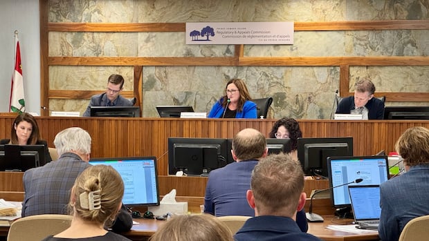 Uncertainty around 4th gas station in Borden-Carleton 'excruciating,' says business owner