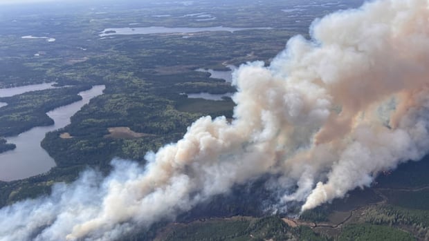 Wildfires in Fort Frances and Sioux Lookout Ont., districts force evacuation alert, travel restrictions
