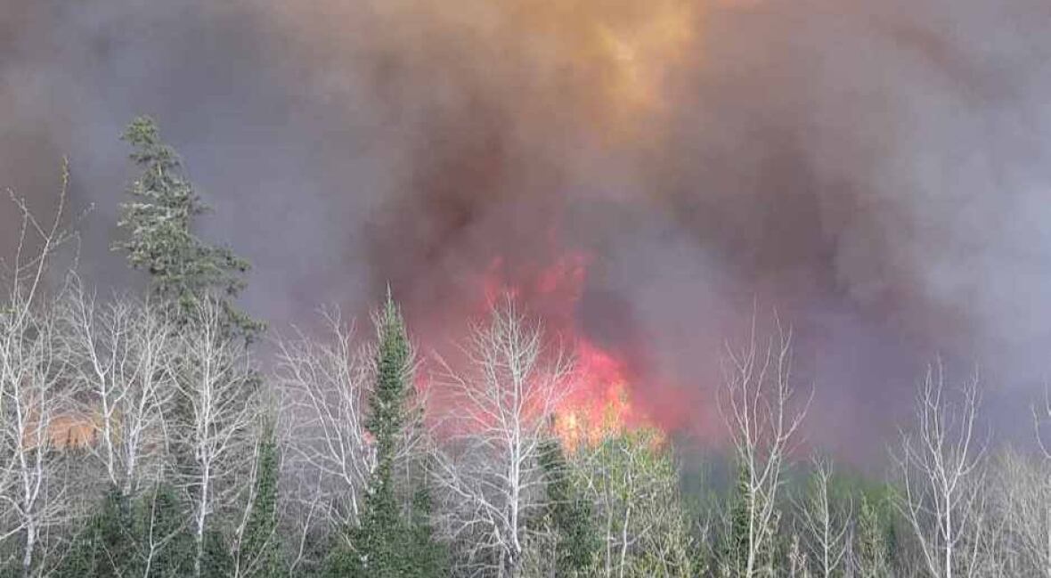 Flames and fume  emergence  supra  treetops