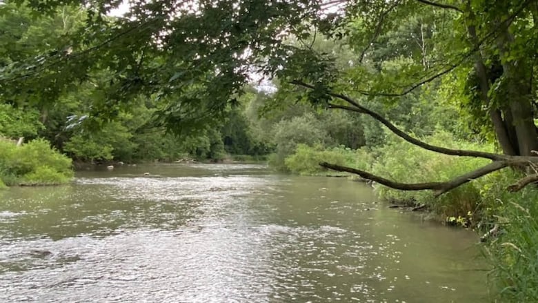 A portion of the Sydenham River in southwestern Ontario.